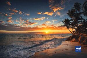 Maui Island Guide The Meeting Point of Nature and Culture