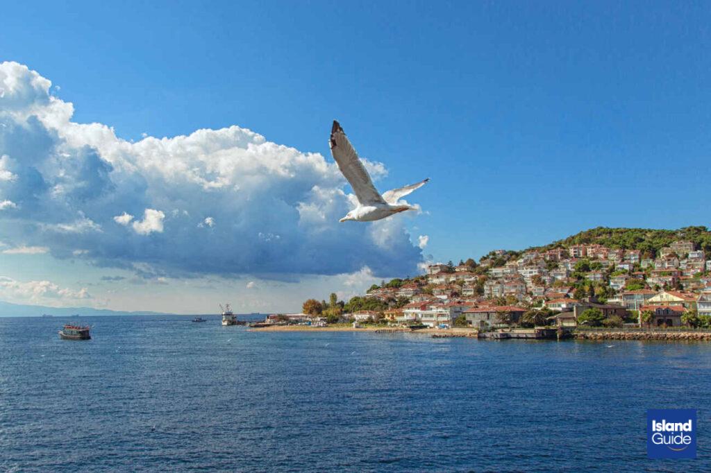 Heybeliada Istanbul's Hidden Paradise and Meeting Point of Natural Beauty
